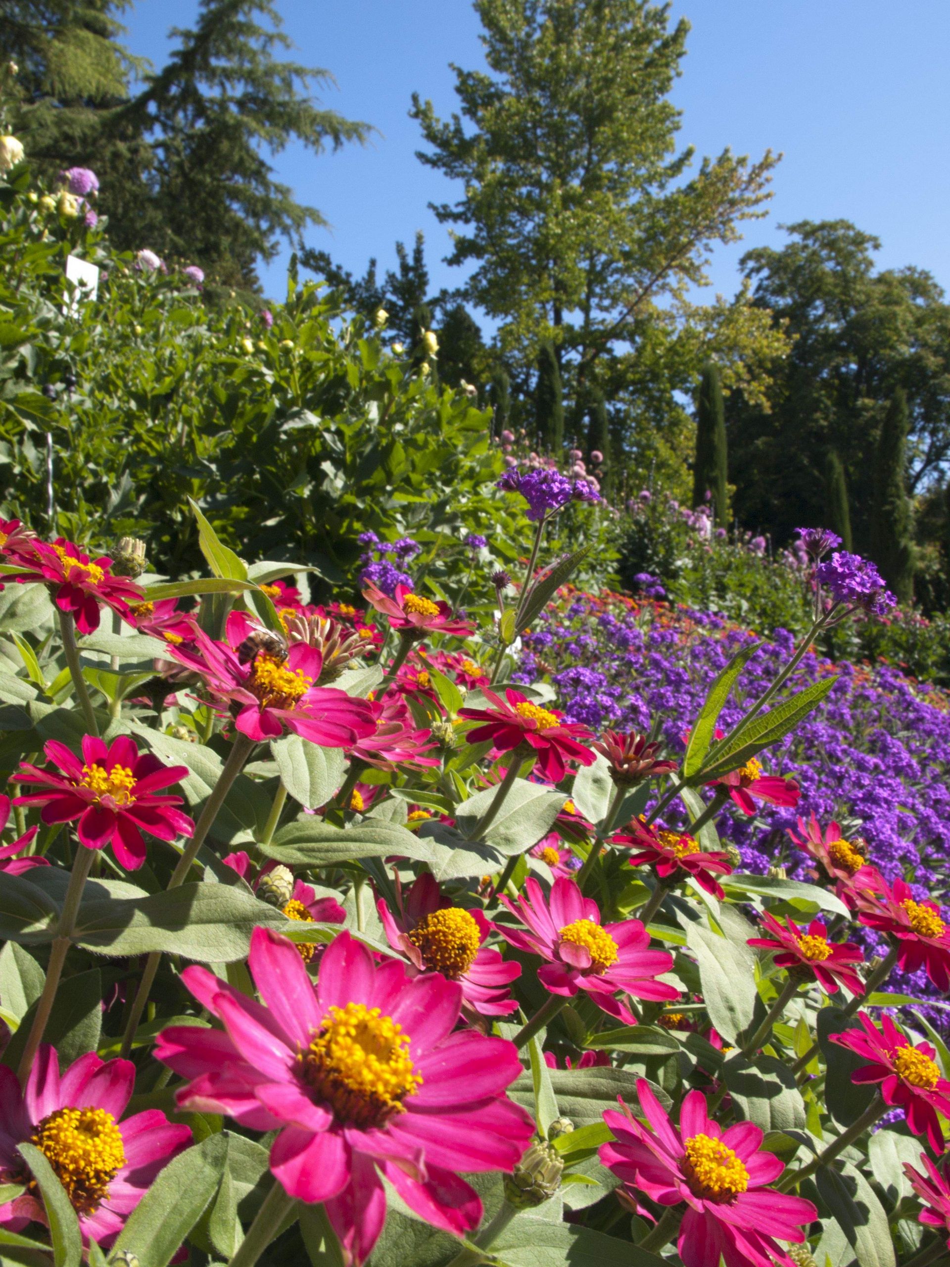 Garten Und Landschaftsbau Hamburg Neu Ein Blumenmeer Auf