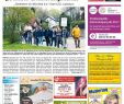 Garten Und Landschaftsbau Preisliste Schön Kw 18 2017 by Wochenanzeiger Me N Gmbh issuu