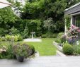 Garten  Und Landschaftsbau Wiesbaden Genial Gärten Von Eckhardt Wo Grün Begeistert Ihr Gärtner Für