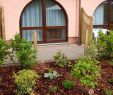 Garten  Und Landschaftsbau Wiesbaden Inspirierend Alles Rund Ums Haus – Wedis Garten Landschaftsbau & Hausservice