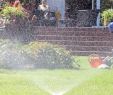 Garten  Und Landschaftsbau Wiesbaden Luxus Vom Greenkeeper Empfohlen Fünf Tipps Zur Bewässerung Des