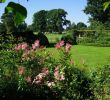 Garten Versailles Das Beste Von 28 Inspirierend asia Garten Zumwalde Luxus