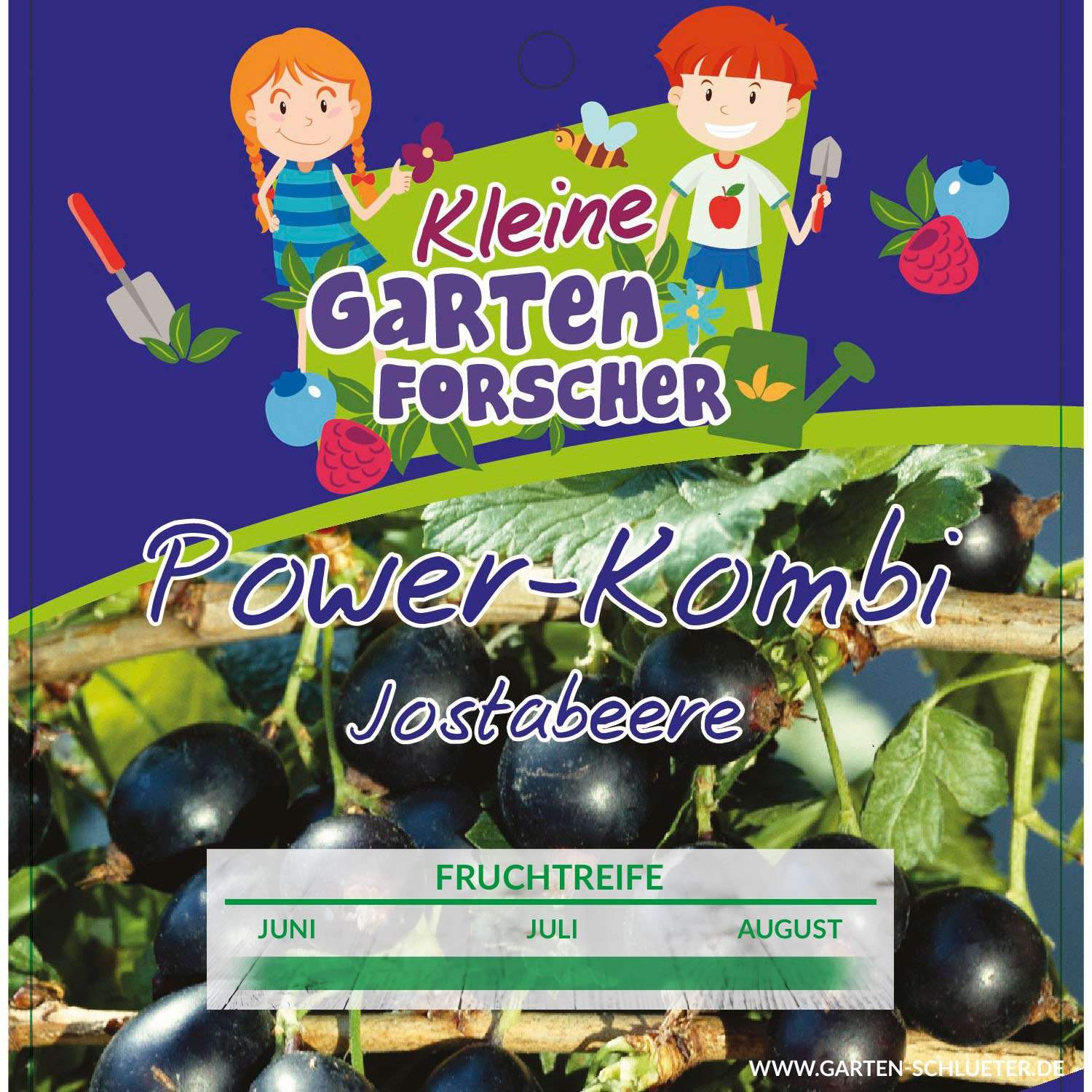 1 Jostabeere Power Kombi Kleine Gartenforscher Ribes Jostabeerei22gHEOcYhLGc