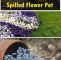 Garten Versicherung Einzigartig Add A Whim to Your Garden Make A Spilled Flower Pot It