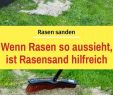 Garten Vertikutieren Reizend Die 58 Besten Bilder Von Rasen Gras Rasen Mähen In 2020