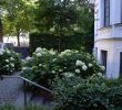 Garten Von Ehren Neu Halb Schattiger Vorgarten In Hamburg Winterhude