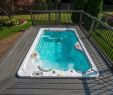 Garten Whirlpool Kaufen Das Beste Von Swim Spas