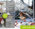 Garten Winter Das Beste Von Jetzt Neu Im Lineshop Vogelhäuser & Nistkästen