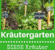 Garten Wissen Elegant Kräutergarten Anlegen Anlegen Kräutergarten Küche