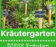 Garten Wissen Elegant Kräutergarten Anlegen Anlegen Kräutergarten Küche