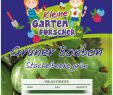 Garten Wissen Frisch Grüne Stachelbeere Grüner Bonbon Kleine Gartenforscher