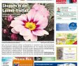 Garten Zu Verschenken Genial Kw 13 2017 by Wochenanzeiger Me N Gmbh issuu