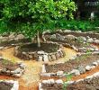Garten Zu Verschenken Genial Permaculture Gardening with Woodchip Mulch and Natural