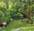 Gartengestaltung Für Kleine Gärten Elegant Gartengestaltung Kleine Garten