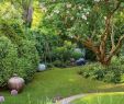 Gartengestaltung Für Kleine Gärten Elegant Gartengestaltung Kleine Garten