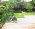 Gartengestaltung Für Kleine Gärten Frisch Zimmerpflanzen Groß Modern — Temobardz Home Blog
