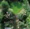 Gartengestaltung Kleiner Garten Luxus Tropical Garden Gartenideen Garden Ideas
