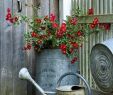 Gießkanne Garten Neu 40 Beispiele Für Shabby Chic Garten Mit Vintage Flair
