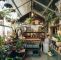 Glashaus Garten Inspirierend 30 Of the Cutest Plant Shops Around the World