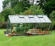 Glashaus Garten Inspirierend Ein Gewächshauskauf – Verlängern Sie Gartensaison