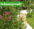 Gloria Garten Inspirierend Die 55 Besten Bilder Von Gartenwege & Gartentreppen In 2020