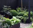 Grill Für Garten Reizend Kleine Gärten Gestalten Reihenhaus — Temobardz Home Blog