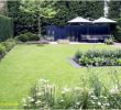 Großer Garten Einzigartig Zimmerpflanzen Groß Modern — Temobardz Home Blog