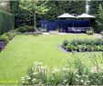 Großer Garten Einzigartig Zimmerpflanzen Groß Modern — Temobardz Home Blog