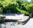 Günstige Pools Für Den Garten Genial Große Gärten Gestalten — Temobardz Home Blog