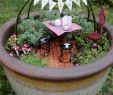 Gutschein Garten Inspirierend Resultado De Imagen Para Fairy Garden