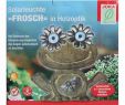 Haushalt Und Garten Einzigartig solar Leuchte Frosch In Holzoptik Led solarleuchte Deko Garten 18x8x17 5cm
