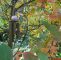 Herbst Garten Luxus Im Gedenken An Florian Im Herbst