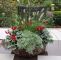 Herbstbepflanzung Für Kübel Und Balkon Garten Elegant Plaudereien über Zimmerpflanzen Und andere Schöne Dinge