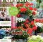 Herbstblumen Garten Winterhart Inspirierend Calaméo Mein Para S 2 2018 Risse