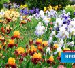 Herrenhäuser Gärten Eintritt Neu Eintrittspreise Preise Öffnungszeiten & Mehr