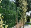 Holz Sichtschutz Garten Elegant Zaunblende "greenfences" Sichtschutz Für Zaun Garten Und