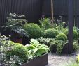 Holzboden Garten Reizend Kleinen Garten Gestalten — Temobardz Home Blog