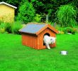 Holzhackschnitzel Garten Elegant Hundehütten Für Den Garten Bei