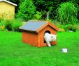 Holzhackschnitzel Garten Elegant Hundehütten Für Den Garten Bei