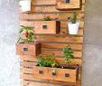Holzpaneele Garten Inspirierend 30 Pallet Wall Garden Ideas for Decorative Plant