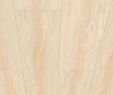 Holzpaneele Garten Neu Details Zu Avanti Paneel Deckengestaltung Wandverkleidung Alaska Birke 2200x203mm