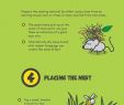 Hornissen Im Garten Das Beste Von Die 7 Besten Bilder Von Wespen Vertreiben