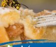 Hornissen Im Garten Schön Die 7 Besten Bilder Von Wespen Vertreiben