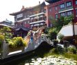 Hotel Garten Bonn Luxus Die Besten Resorts Unweit Der Sehenswürdigkeit Botanische
