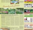 Hundeurin Neutralisieren Garten Einzigartig S Pielpause Neue Crums Ter B and Mit Jamaikaner Howie B