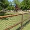 Hundezaun Garten Neu 2 Rail Wood Fence with Chain Link