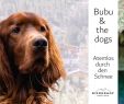 Hundezaun Garten Neu Die 148 Besten Bilder Von Lustiges Rund Um Den Hund In 2020