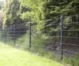 Hundezaun Garten Schön 43 Awesome Garden Wire Fencing Alexstand