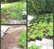 Ideen Für Den Garten Einzigartig Gartendeko Selbst Machen — Temobardz Home Blog