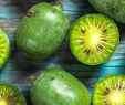 Ingwer Im Garten Das Beste Von Kiwibeeren Pflanzen Tipps Zum Anbau Der Mini Kiwi